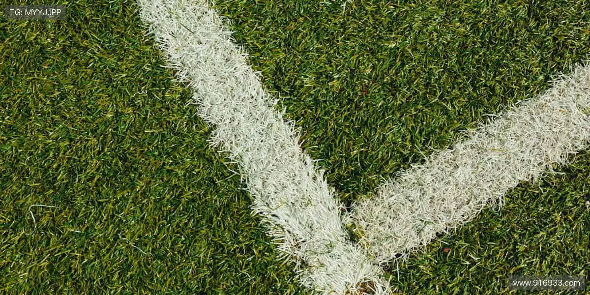 高清画质 + 专业解说,打造沉浸式观赛体验!🎧